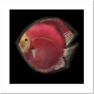 Discus Fish Posters and Art